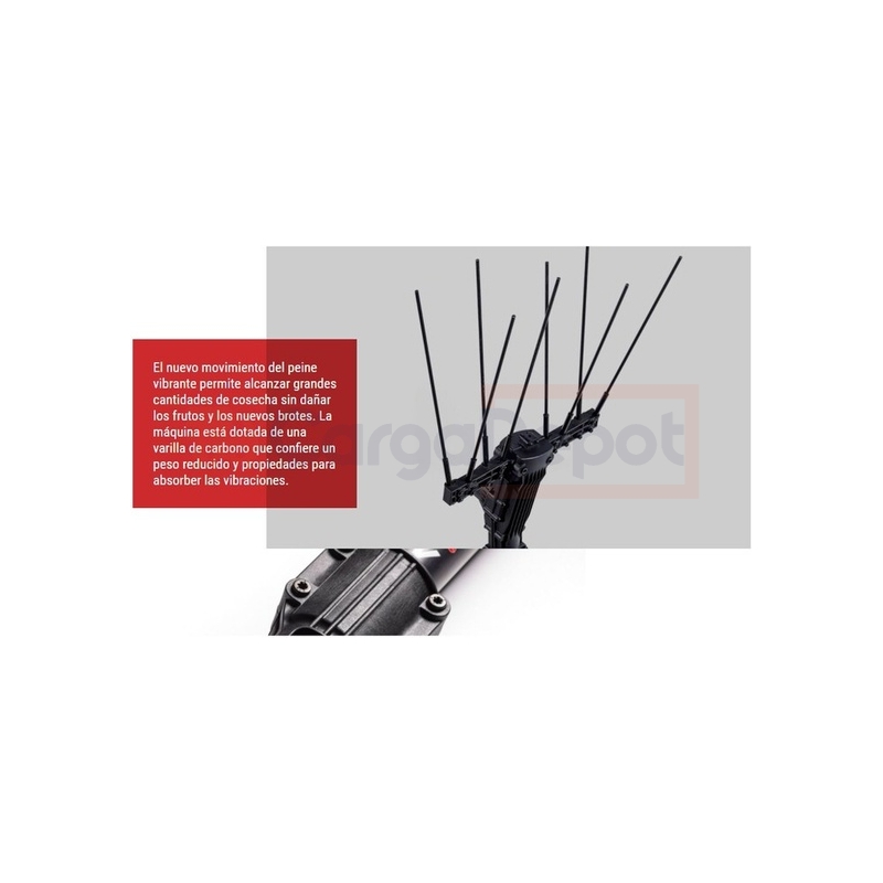 Vareador telescópico Brumi Ghibli 900, 800W, 36V, 2 velocidades - Imagen 4